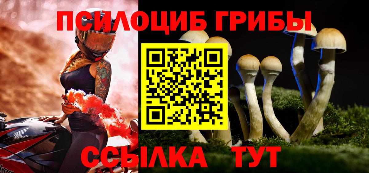 Псилоцибиновые грибы MAGIC MUSHROOMS  Вход с VPN  Сланцы 